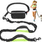 Hands Free Dog Leash, Suitable for Running Walking Jogging Hiking, Training for Small Medium and Large Dogs, Adjustable Waist Belt, Dual-Handle Reflective Bungee, Zipper Pouch. (Black W Green)